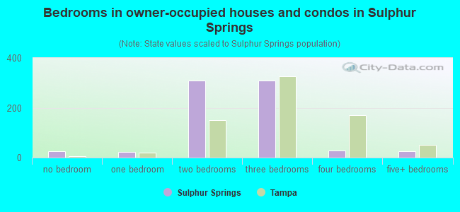 Bedrooms in owner-occupied houses and condos in Sulphur Springs