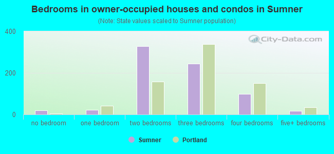 Bedrooms in owner-occupied houses and condos in Sumner