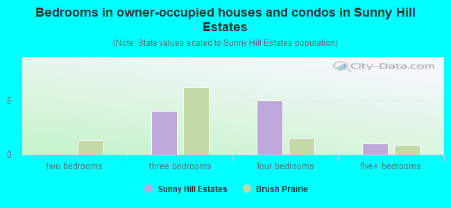Bedrooms in owner-occupied houses and condos in Sunny Hill Estates