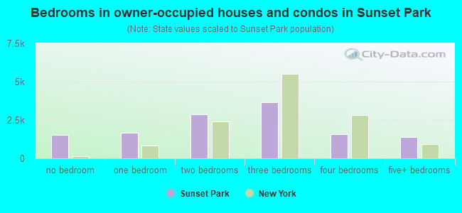 Bedrooms in owner-occupied houses and condos in Sunset Park