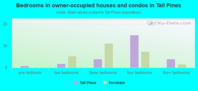 Bedrooms in owner-occupied houses and condos in Tall Pines