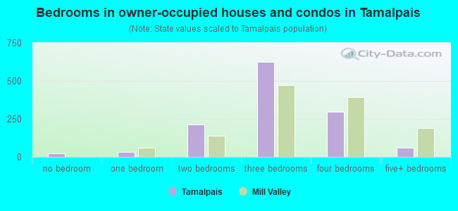 Bedrooms in owner-occupied houses and condos in Tamalpais