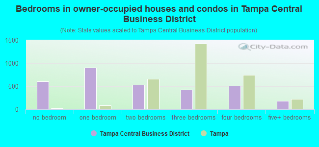 Bedrooms in owner-occupied houses and condos in Tampa Central Business District