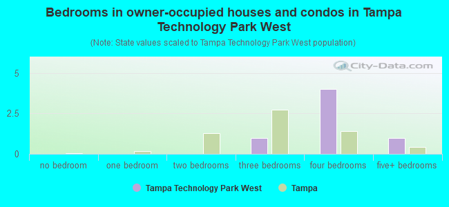Bedrooms in owner-occupied houses and condos in Tampa Technology Park West