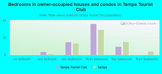 Bedrooms in owner-occupied houses and condos in Tampa Tourist Club