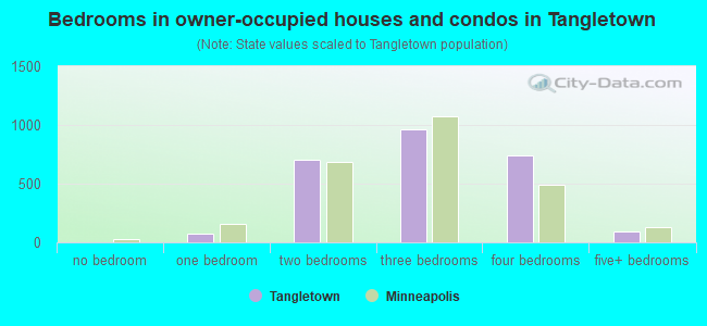 Bedrooms in owner-occupied houses and condos in Tangletown