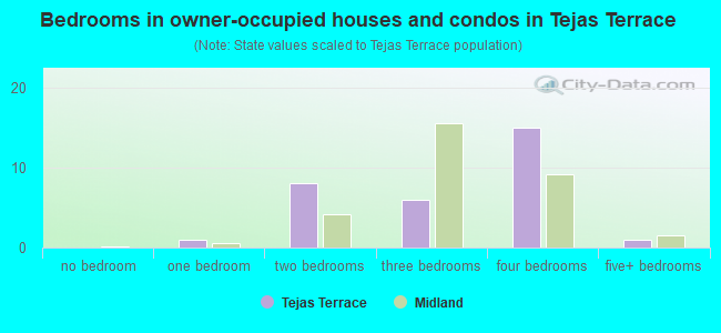 Bedrooms in owner-occupied houses and condos in Tejas Terrace