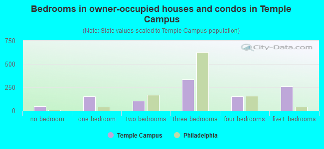 Bedrooms in owner-occupied houses and condos in Temple Campus