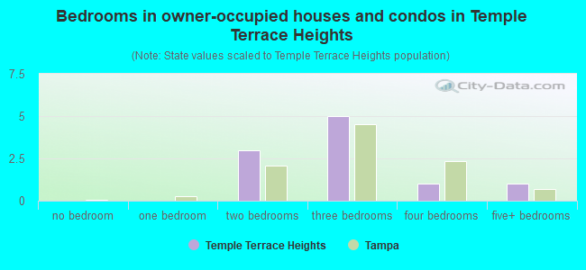 Bedrooms in owner-occupied houses and condos in Temple Terrace Heights