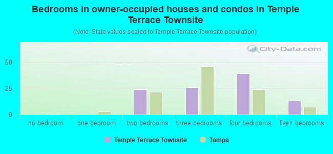Bedrooms in owner-occupied houses and condos in Temple Terrace Townsite