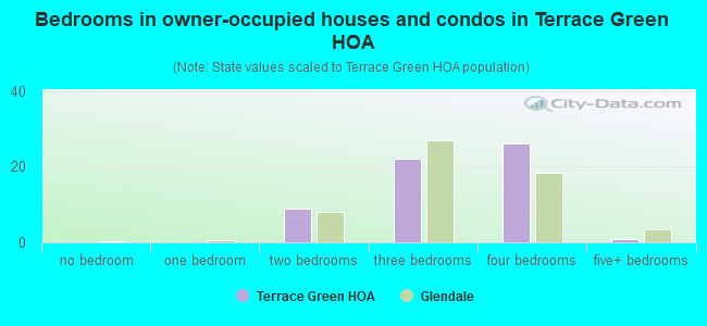 Bedrooms in owner-occupied houses and condos in Terrace Green HOA