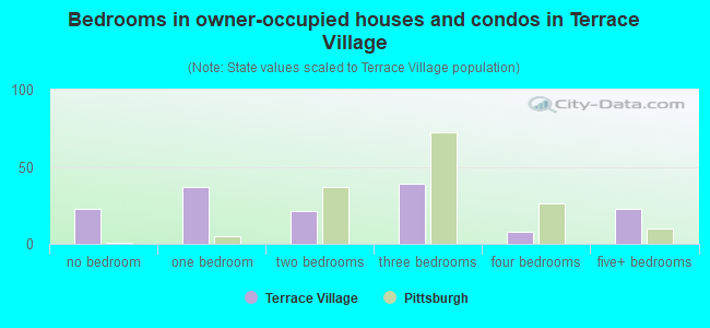 Bedrooms in owner-occupied houses and condos in Terrace Village