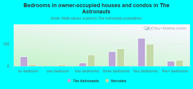Bedrooms in owner-occupied houses and condos in The Astronauts