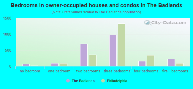 Bedrooms in owner-occupied houses and condos in The Badlands