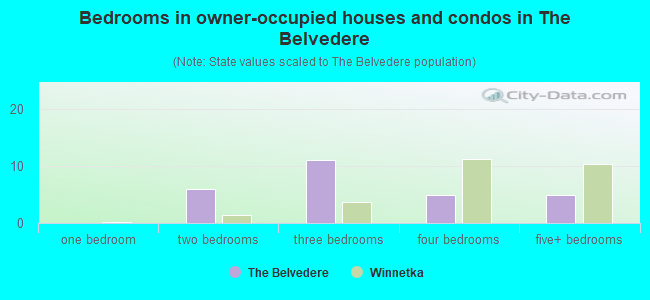 Bedrooms in owner-occupied houses and condos in The Belvedere