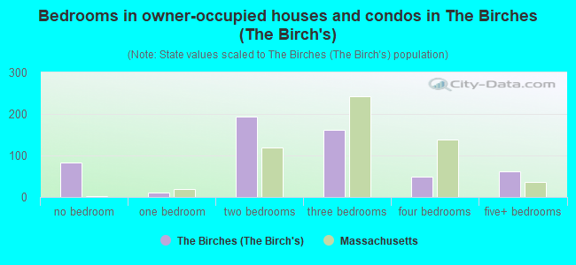 Bedrooms in owner-occupied houses and condos in The Birches (The Birch's)