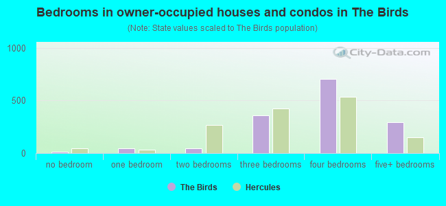 Bedrooms in owner-occupied houses and condos in The Birds