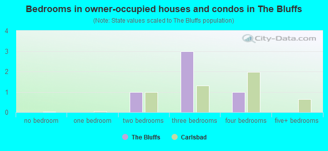 Bedrooms in owner-occupied houses and condos in The Bluffs