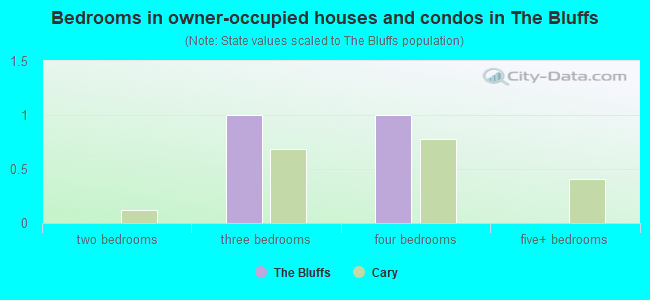 Bedrooms in owner-occupied houses and condos in The Bluffs