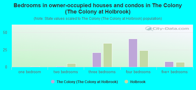 Bedrooms in owner-occupied houses and condos in The Colony (The Colony at Holbrook)