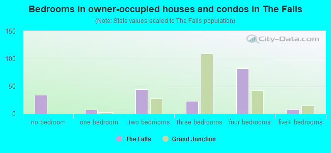 Bedrooms in owner-occupied houses and condos in The Falls