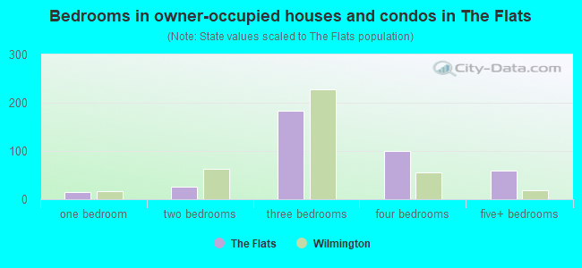 Bedrooms in owner-occupied houses and condos in The Flats