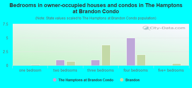Bedrooms in owner-occupied houses and condos in The Hamptons at Brandon Condo