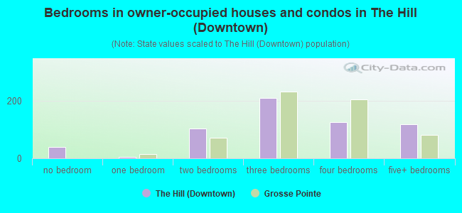 Bedrooms in owner-occupied houses and condos in The Hill (Downtown)