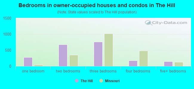 Bedrooms in owner-occupied houses and condos in The Hill