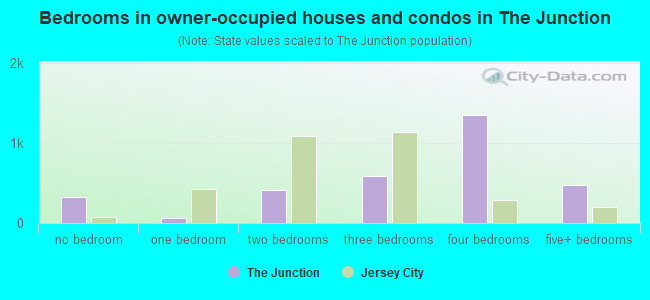 Bedrooms in owner-occupied houses and condos in The Junction