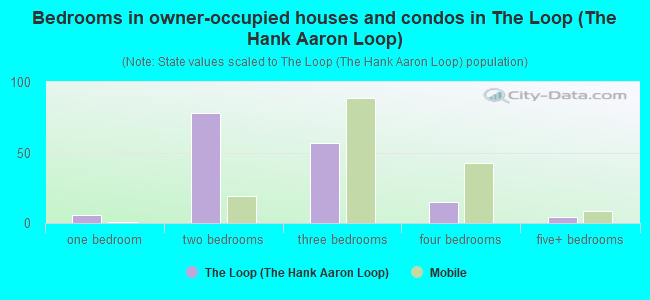 Bedrooms in owner-occupied houses and condos in The Loop (The Hank Aaron Loop)