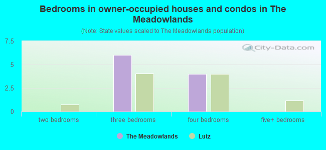 Bedrooms in owner-occupied houses and condos in The Meadowlands