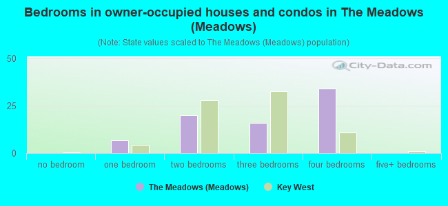 Bedrooms in owner-occupied houses and condos in The Meadows (Meadows)