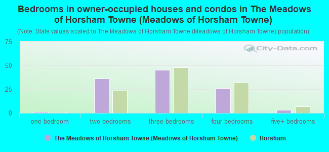 Bedrooms in owner-occupied houses and condos in The Meadows of Horsham Towne (Meadows of Horsham Towne)
