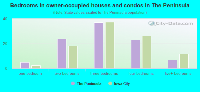 Bedrooms in owner-occupied houses and condos in The Peninsula
