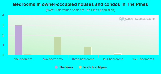 Bedrooms in owner-occupied houses and condos in The Pines