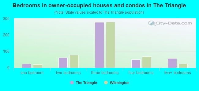 Bedrooms in owner-occupied houses and condos in The Triangle