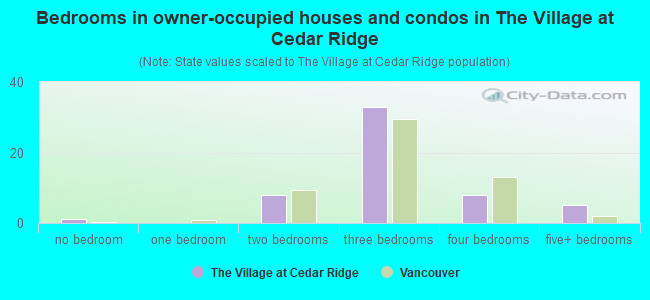 Bedrooms in owner-occupied houses and condos in The Village at Cedar Ridge