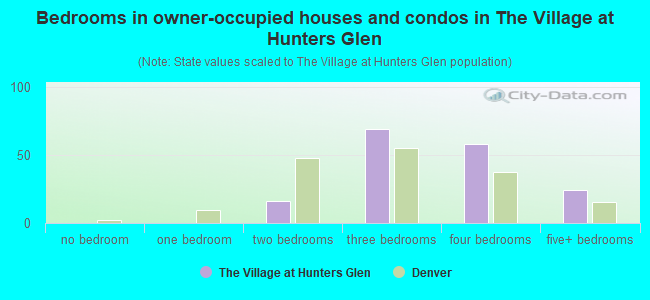 Bedrooms in owner-occupied houses and condos in The Village at Hunters Glen