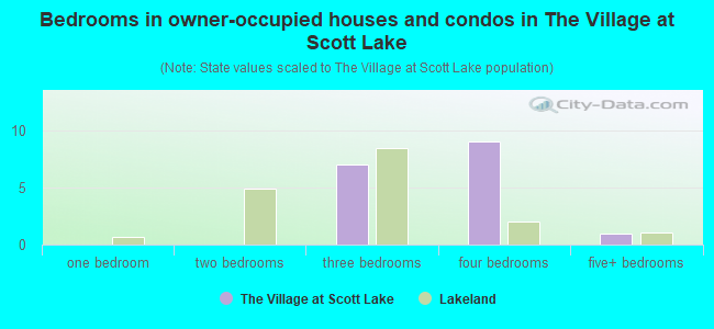 Bedrooms in owner-occupied houses and condos in The Village at Scott Lake