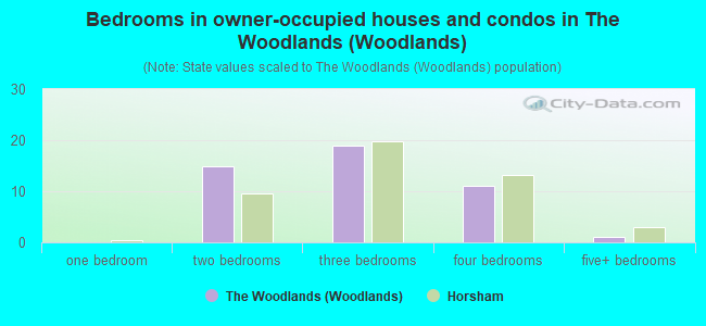 Bedrooms in owner-occupied houses and condos in The Woodlands (Woodlands)