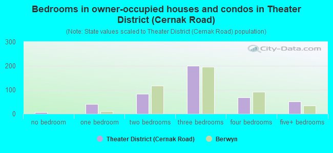 Bedrooms in owner-occupied houses and condos in Theater District (Cernak Road)
