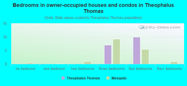 Bedrooms in owner-occupied houses and condos in Theophalus Thomas