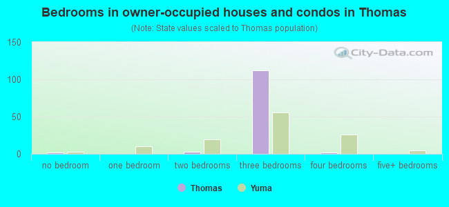 Bedrooms in owner-occupied houses and condos in Thomas