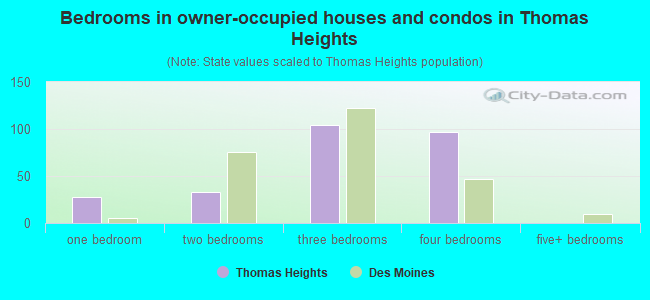 Bedrooms in owner-occupied houses and condos in Thomas Heights