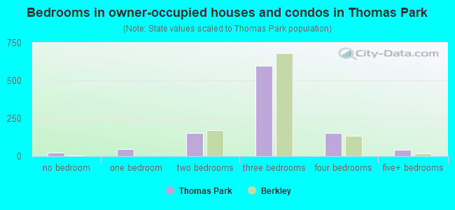 Bedrooms in owner-occupied houses and condos in Thomas Park