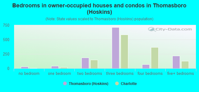 Bedrooms in owner-occupied houses and condos in Thomasboro (Hoskins)