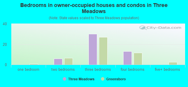 Bedrooms in owner-occupied houses and condos in Three Meadows