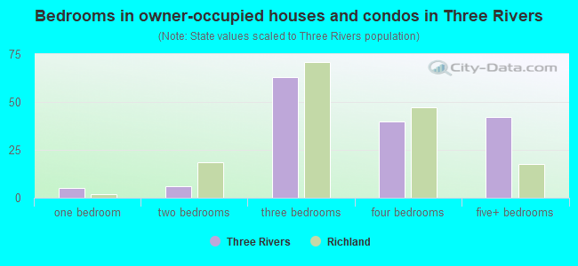 Bedrooms in owner-occupied houses and condos in Three Rivers