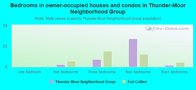 Bedrooms in owner-occupied houses and condos in Thunder-Moor Neighborhood Group